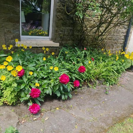 Mayfield Cottage Burtree Ford المظهر الخارجي الصورة