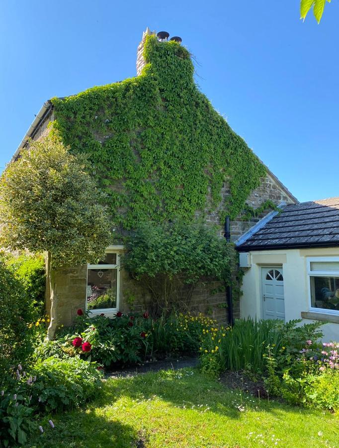 Mayfield Cottage Burtree Ford المظهر الخارجي الصورة
