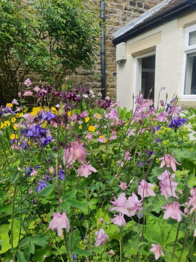 Mayfield Cottage Burtree Ford المظهر الخارجي الصورة