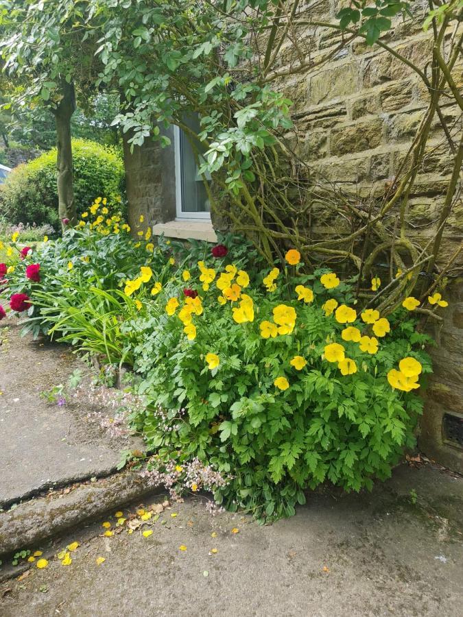 Mayfield Cottage Burtree Ford المظهر الخارجي الصورة