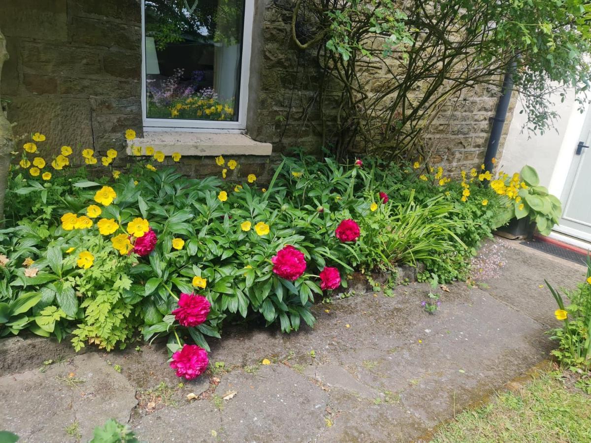 Mayfield Cottage Burtree Ford المظهر الخارجي الصورة