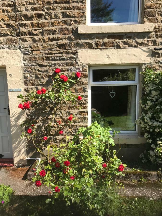 Mayfield Cottage Burtree Ford المظهر الخارجي الصورة